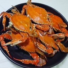조개구이포장
