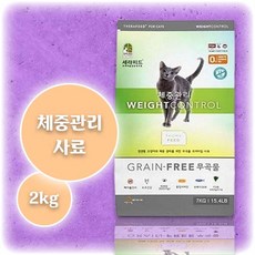 고양이초보집사되기