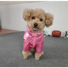 이지웨어패딩강아지