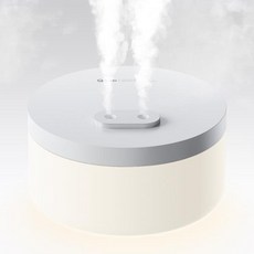 듀얼미니가습기