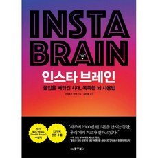 인스타브레인