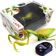 무선조종사마귀