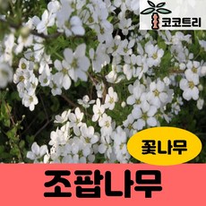 a938bd98962ab68048c7bedaffa4f4286d6ad06cd881e31ef62dd559d140.jpg