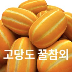 참외10kg TOP01