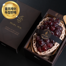 [국내 첫출시] 한정판 자수정 보석 포도 '로얄바인' 1등급 (650g 이상), 1개