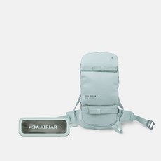 블랙브라이어휠백