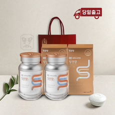 정관장 장건강 60캡슐*2박스 (2개월분) 쇼핑백 홍삼선물, 2개