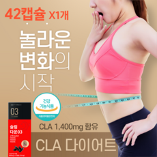 CLA 공액리놀레산 다이어트 팻 씨엘에이 체지방감소 비타민 씨엘에이 칼로리 지방 탄수화물 버닝 DOWN 에너데이, 42정, 2개