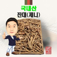 국내산 잔대(제니) 100g (경북 영천) 국산 잔대뿌리 사삼 더덕 딱주, 1개