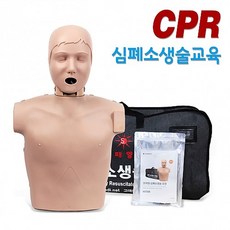 태양 한국형 심폐소생술 실습모형 CPR마네킹 써니 단순형, 1개