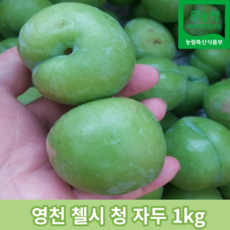 첼시자두