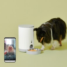 로모그래피다이아나f플러스중형카메라10주년기념스페셜에디션