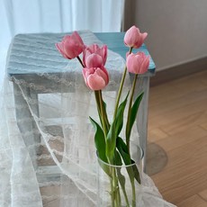 농부가 키운 튤립 레이저게임 핑크 생화 1단 태안꽃농장 직접재배 필랑말랑 생화택배, 튤립: 레이저게임