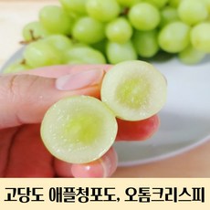 고당도 애플청포도 800g 1.6kg 3.2kg 7kg 오톰크리스피 어텀크리스피 씨없는포도 청포도 애플청포도 애플 청포도 사과철포도 아삭한포도 아기간식