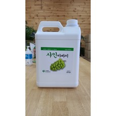 샤인아바이 1박스(5리터 x 4병) 흡수빠른 샤인머스켓(포도) 전용 관주용 혈분비료