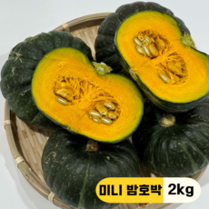 만근농장 국내산 제주 보우짱 미니 단호박 밤호박, 1개, 2kg
