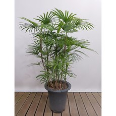 a517e6ac82491f6d7916a8194f3cc91123d672a1bb59ce60e5827d0388d6.jpg