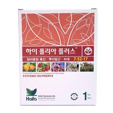 에피스시아 TOP01