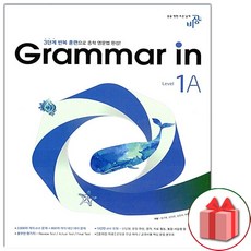 그래머인1a
