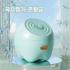 얼굴 스팀기 수분 공급기 미용 얼굴 미스트기 가정용 피부 가습기 얼굴 가습 찜질기, 그린, 존향금