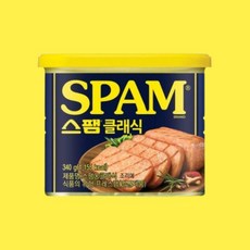 CJ제일제당 스팸 클래식 340g 2캔, 4개