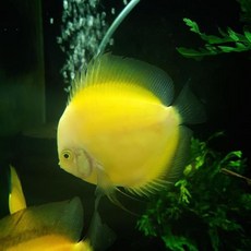 e00ba80d3130ea4b5d3fe75909a8d91365e76b6454d6fd010ef2aa68c429.jpg