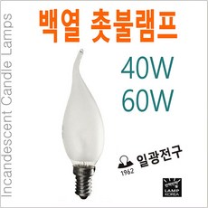 일광전구 백열 촛불램프 촛대구 샹들리에 소형 전구 40W 60W, 40W-E17-불투명유리, 1개
