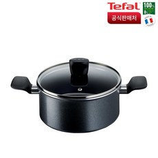 테팔크리스탈티타늄