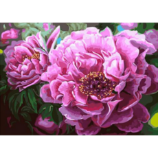 모모픽스페인팅 DIY명화그리기 60x75cm, WK20   화려한 모란꽃