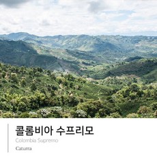 골드빈더치커피