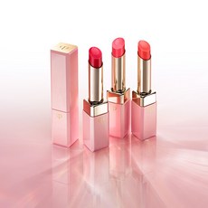 끌레드뽀보떼하이라이터