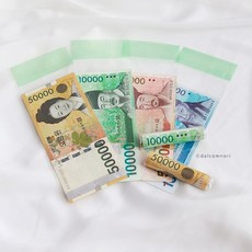 돈비닐 봉투 용돈박스 돈티슈 돈케이크 용돈봉투, 돈비닐봉투100매