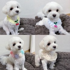 강아지케이프만들기