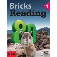 bricksreading