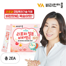 비타민마을 리포퍼 철분 비타민C, 90g, 2개