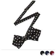 남자어린이보타이