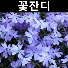 8ccdf25b6561eeb4fb9037aea5a8480fef9f62fb91eaf0787b9c10719bf0.jpg