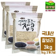 보리소
