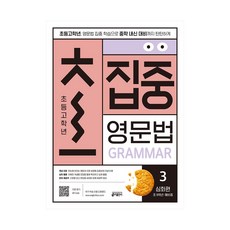 초집중-초등 고학년 집중 영문법 3 (심화편) / 키출판사