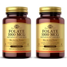 솔가 엽산 메타폴린 1000mcg 120타블렛 X 2통 Solgar 엽산, 120정, 2개