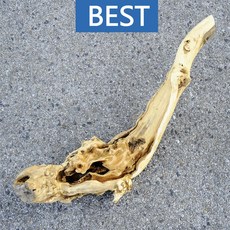 1654c482849d547f2934c3490ee86046efe0a951bb7236dbc6881a29c759.jpg