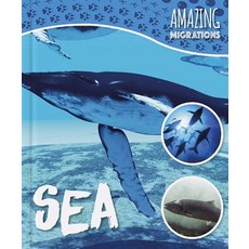 Sea Hardcover, Booklife Publishing