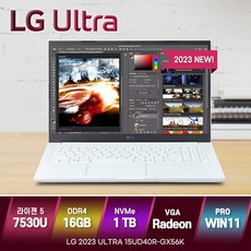 [한컴오피스 증정] LG전자 울트라PC 15UD40R-GX56K 라이젠5 R5-7530U 윈도우11 노트북, 15UD40R, WIN11 Pro, 16GB, 1TB,