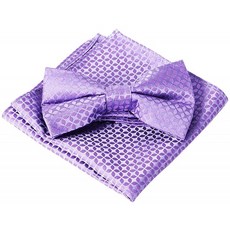 독일직수입 비메이고 남성 페이즐리 플라이 타이 (2.6" x 4.7") 손수건 자카드 수제 포켓 백 리본 세트 웨딩 파티 발렌타인 데