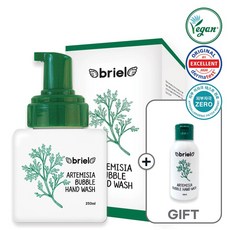 브리엘 개똥쑥 버블 핸드워시 250ml, 1개