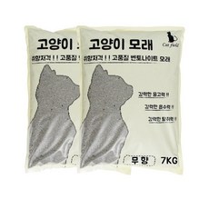 캣필드벤토나이트