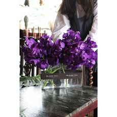 고급스러운 반다 화병꽂이