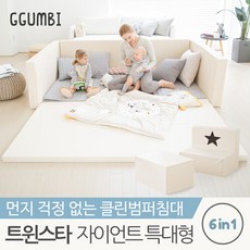 꿈비트윈스타패밀리