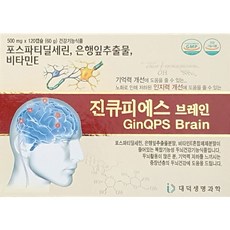 인지기능워크북