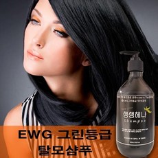 생생헤나 천연 탈모 완화 샴푸 500ml 비듬 두피 케어, 생생헤나 천연 탈모방지 샴푸 5